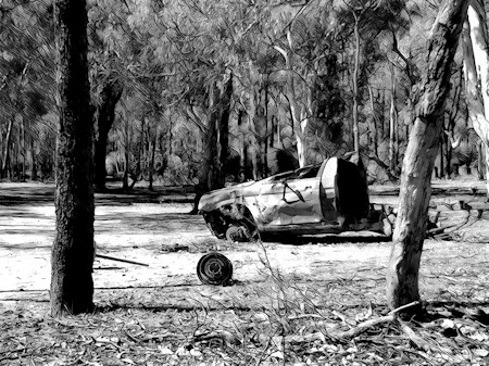 Alloy Wheel, Grove, Land, Spoke, Tire, Tree, Tree Trunk, Vegetation, Wheel, Woodland